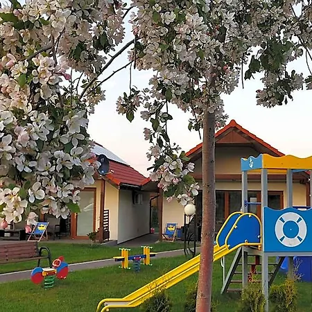 Okej Leba - * Nowecin