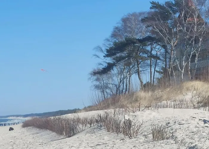 Tatil Evi Okej Leba - *