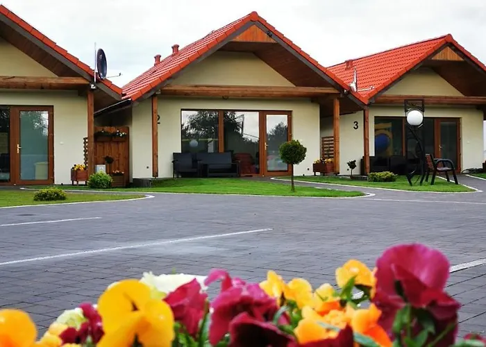 Okej Leba - * Nowecin